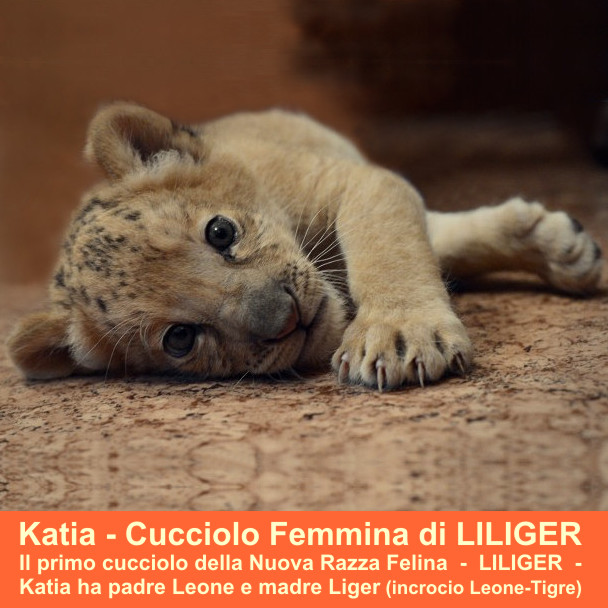 Pianeta Animali